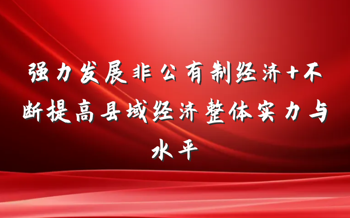 强力发展非公有制经济 不断提高县域经济整体实力与水平
