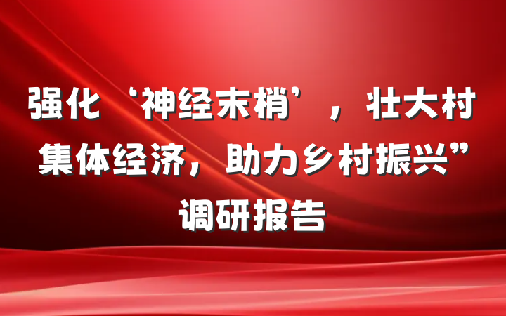 强化‘神经末梢’，壮大村集体经济，助力乡村振兴”调研报告