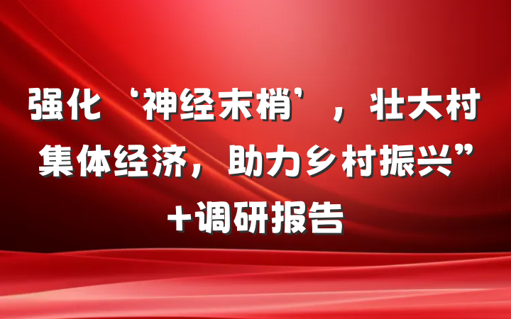 强化‘神经末梢’，壮大村集体经济，助力乡村振兴” 调研报告