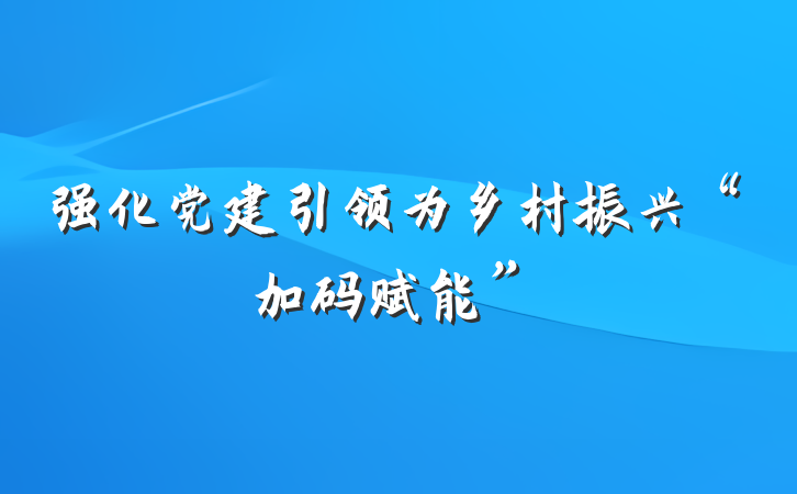 强化党建引领为乡村振兴“加码赋能”