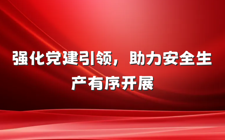 强化党建引领，助力安全生产有序开展