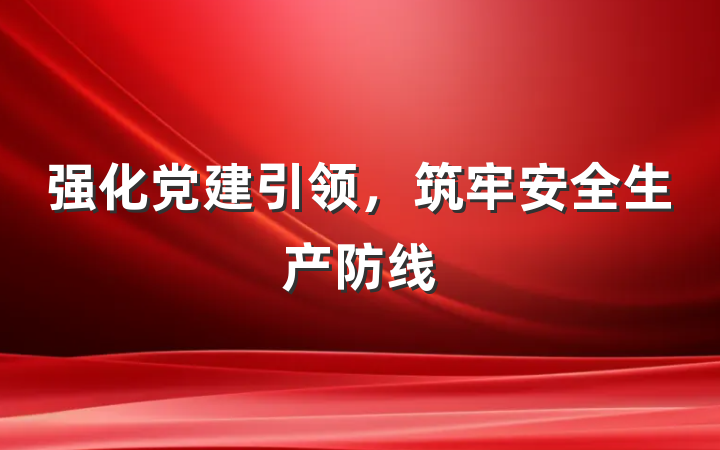 强化党建引领,筑牢安全生产防线