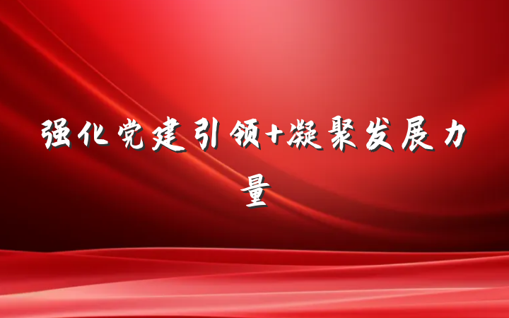 强化党建引领 凝聚发展力量