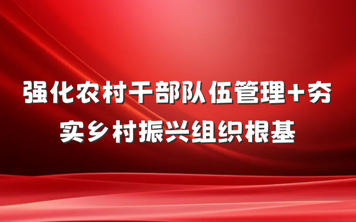 强化农村干部队伍管理 夯实乡村振兴组织根基