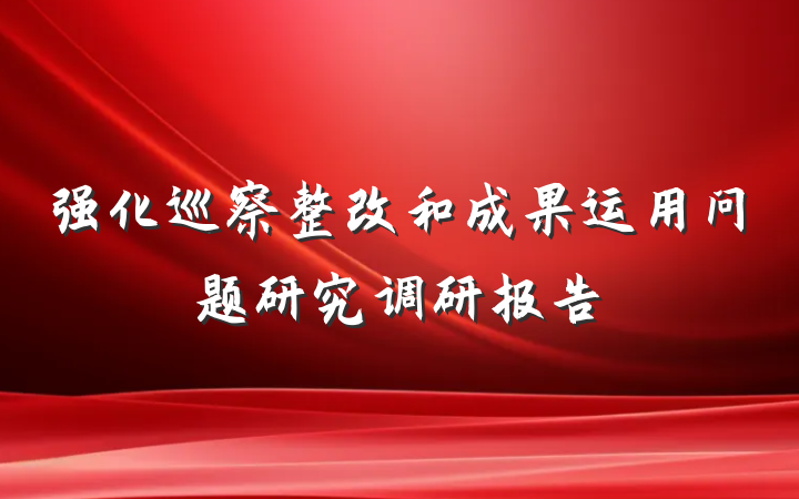 强化巡察整改和成果运用问题研究调研报告