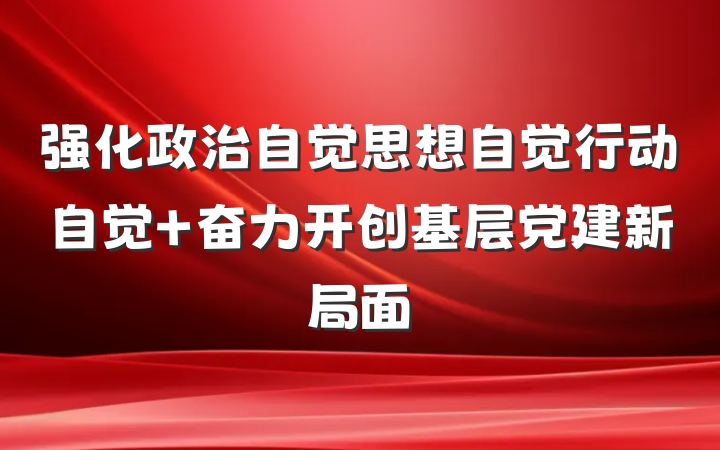 强化政治自觉思想自觉行动自觉 奋力开创基层党建新局面