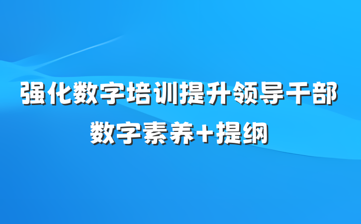 强化数字培训提升领导干部数字素养 提纲