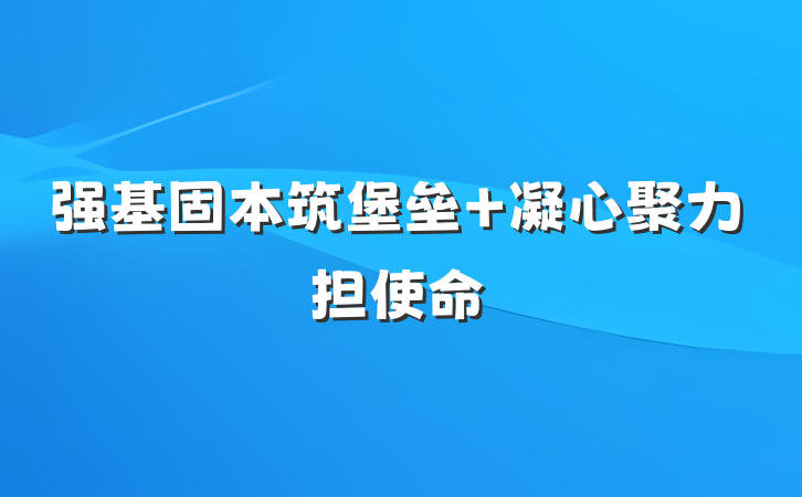 强基固本筑堡垒 凝心聚力担使命