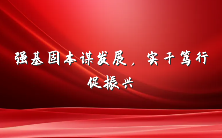 强基固本谋发展，实干笃行促振兴