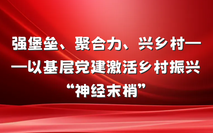 强堡垒、聚合力、兴乡村——以基层党建激活乡村振兴“神经末梢”