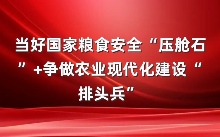 当好国家粮食安全“压舱石” 争做农业现代化建设“排头兵”