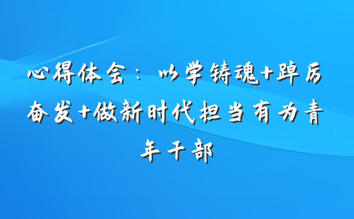 心得体会：以学铸魂 踔厉奋发 做新时代担当有为青年干部