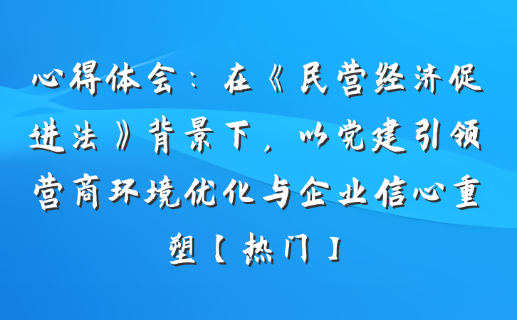 心得体会：在《民营经济促进法》背景下，以党建引领营商环境优化与企业信心重塑【热门】