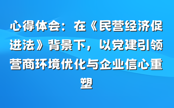 心得体会：在《民营经济促进法》背景下，以党建引领营商环境优化与企业信心重塑