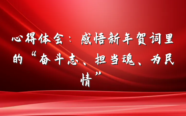 心得体会：感悟新年贺词里的“奋斗志、担当魂、为民情”