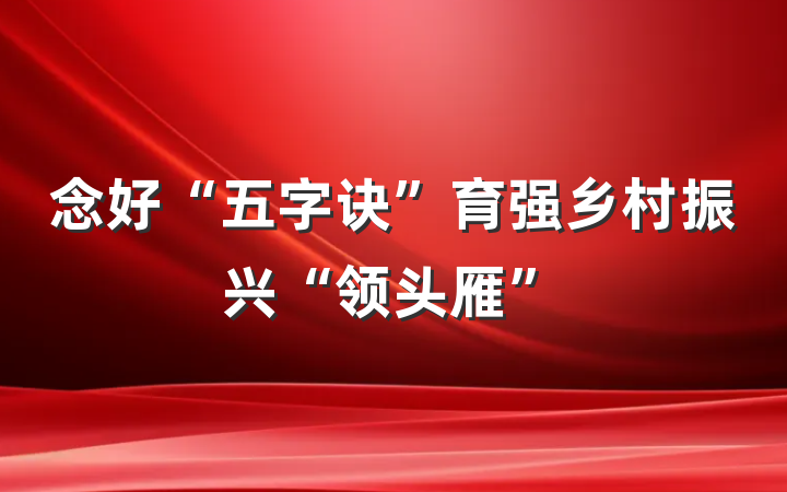 念好“五字诀”育强乡村振兴“领头雁”