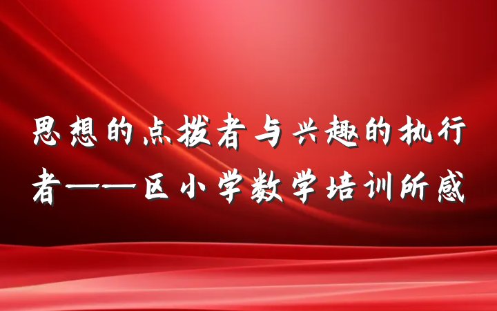思想的点拨者与兴趣的执行者——区小学数学培训所感