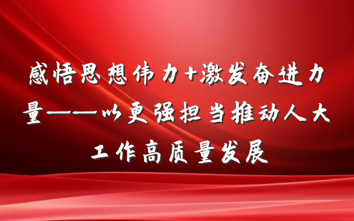 感悟思想伟力 激发奋进力量——以更强担当推动人大工作高质量发展