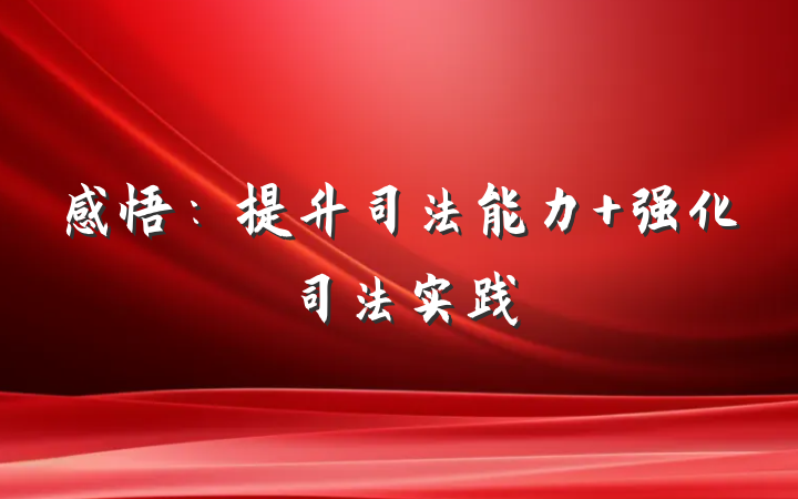 感悟：提升司法能力 强化司法实践