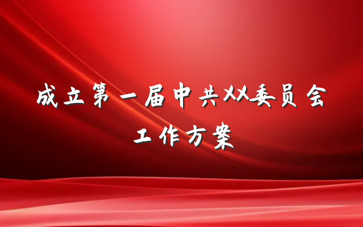 成立第一届中共XX委员会工作方案