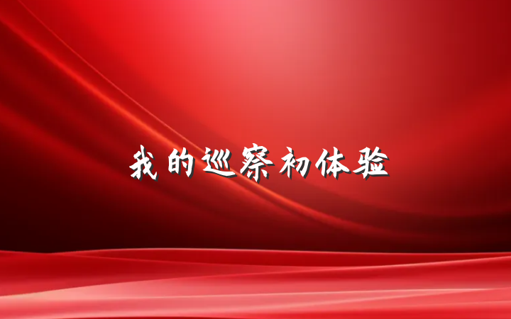 我的巡察初体验