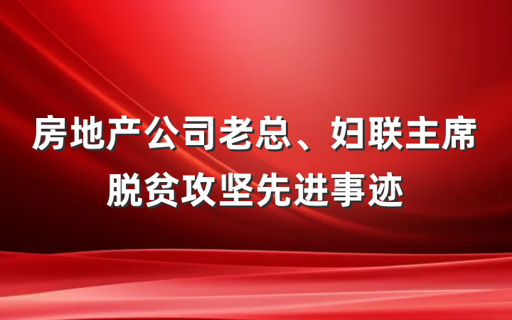 房地产公司老总、妇联主席脱贫攻坚先进事迹