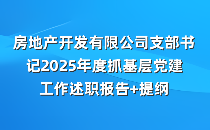 房地产开发有限公司支部书记2025年度抓基层党建工作述职报告 提纲