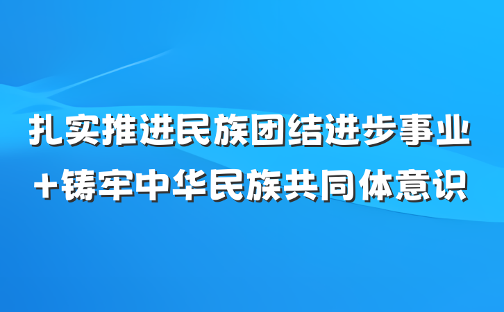 扎实推进民族团结进步事业 铸牢中华民族共同体意识