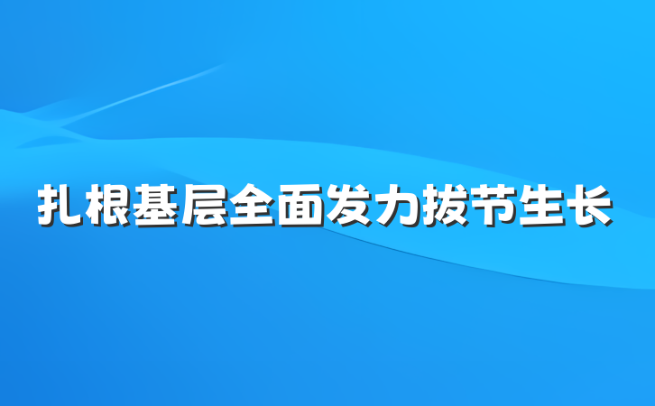 扎根基层全面发力拔节生长