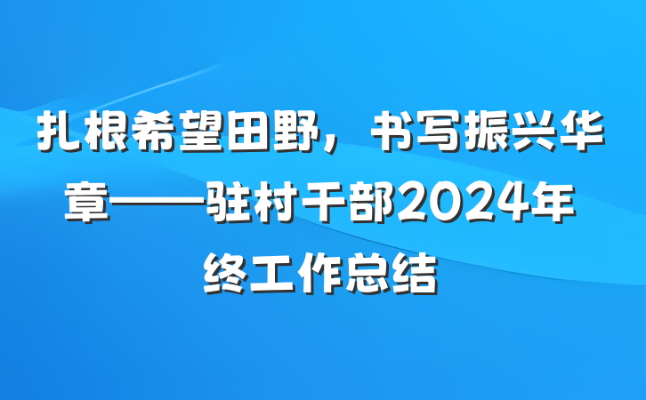 扎根希望田野，书写振兴华章——驻村干部2024年终工作总结