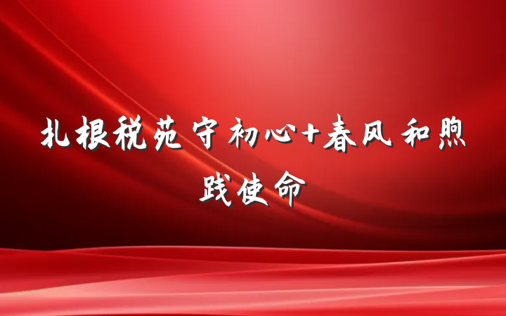 扎根税苑守初心 春风和煦践使命