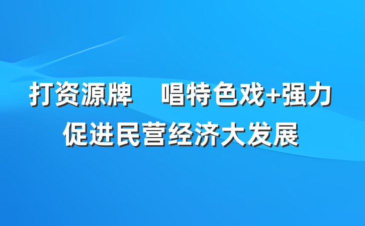打资源牌　唱特色戏 强力促进民营经济大发展