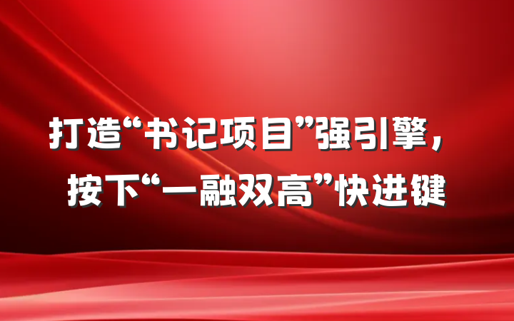 打造“书记项目”强引擎，按下“一融双高”快进键
