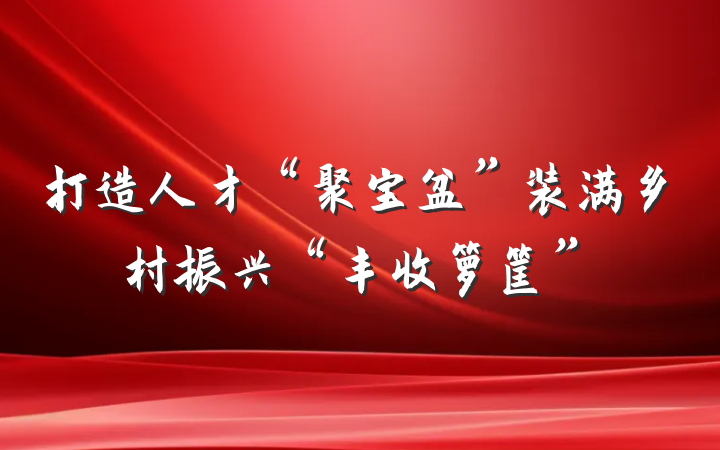 打造人才“聚宝盆”装满乡村振兴“丰收箩筐”
