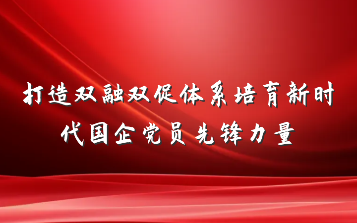 打造双融双促体系培育新时代国企党员先锋力量