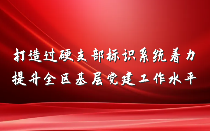 打造过硬支部标识系统着力提升全区基层党建工作水平