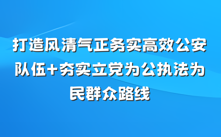 打造风清气正务实高效公安队伍 夯实立党为公执法为民群众路线