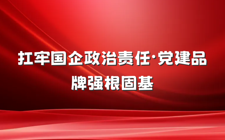 扛牢国企政治责任・党建品牌强根固基