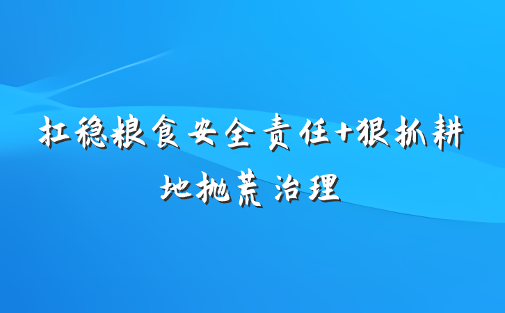 扛稳粮食安全责任 狠抓耕地抛荒治理