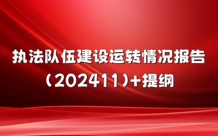 执法队伍建设运转情况报告(202411) 提纲