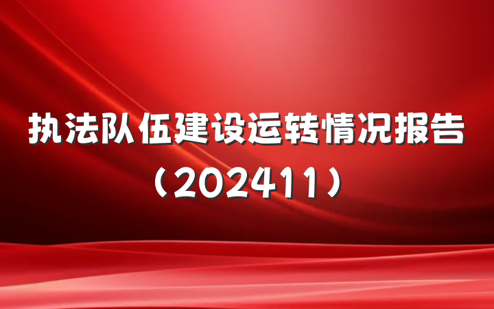 执法队伍建设运转情况报告(202411)