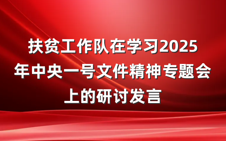 扶贫工作队在学习2025年中央一号文件精神专题会上的研讨发言
