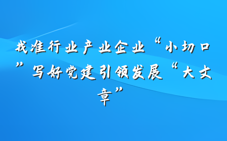 找准行业产业企业“小切口”写好党建引领发展“大文章”