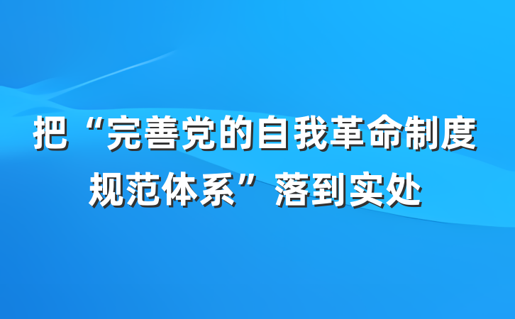 把“完善党的自我革命制度规范体系”落到实处