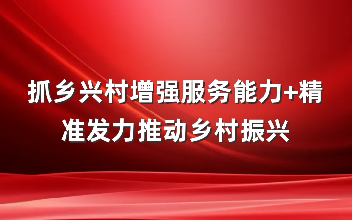 抓乡兴村增强服务能力 精准发力推动乡村振兴