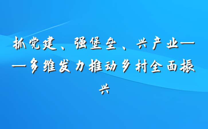 抓党建、强堡垒、兴产业——多维发力推动乡村全面振兴