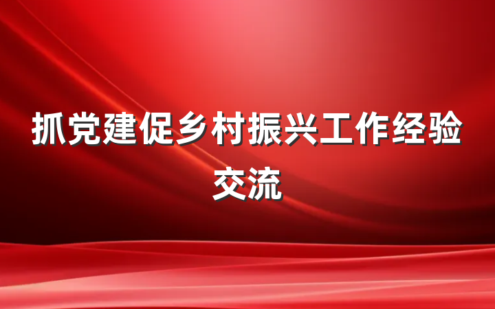 抓党建促乡村振兴工作经验交流