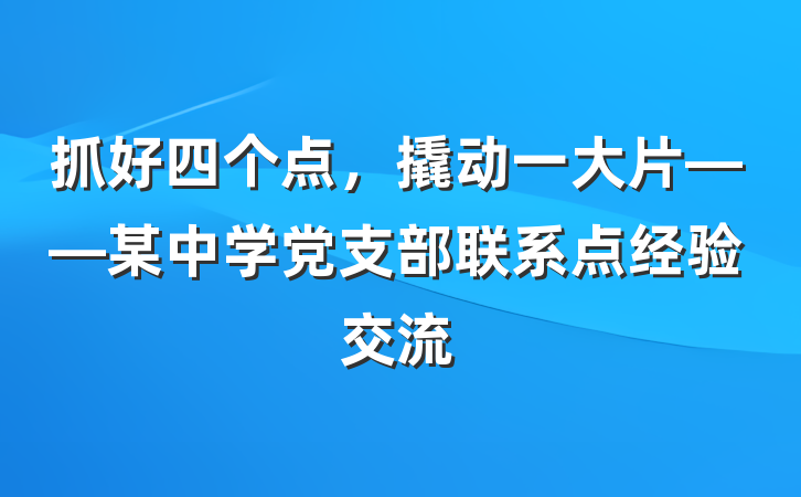 抓好四个点，撬动一大片——某中学党支部联系点经验交流