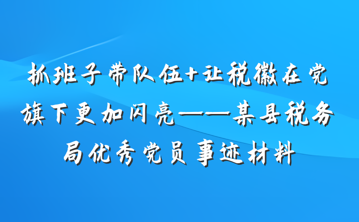 抓班子带队伍 让税徽在党旗下更加闪亮——某县税务局优秀党员事迹材料