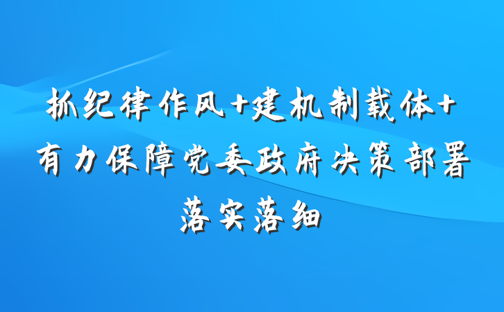 抓纪律作风 建机制载体 有力保障党委政府决策部署落实落细